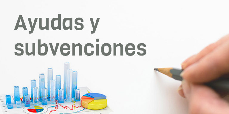ayudas-subvenciones-768×403-1
